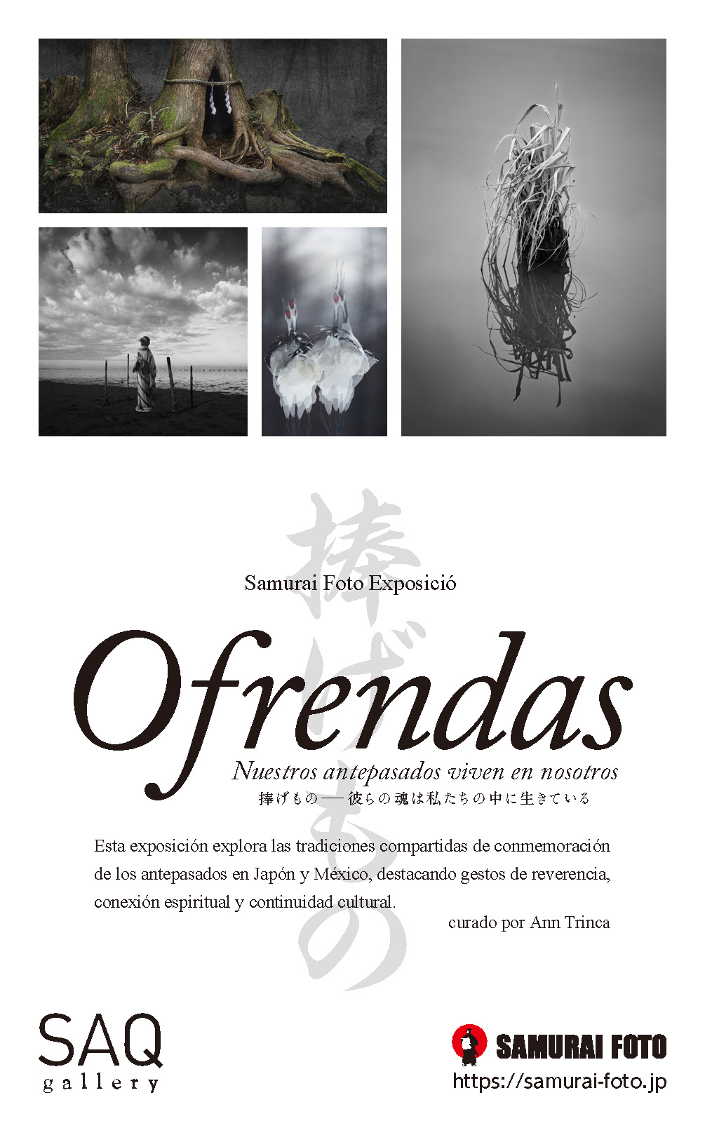 2025 メキシコシティで初の展覧会開催