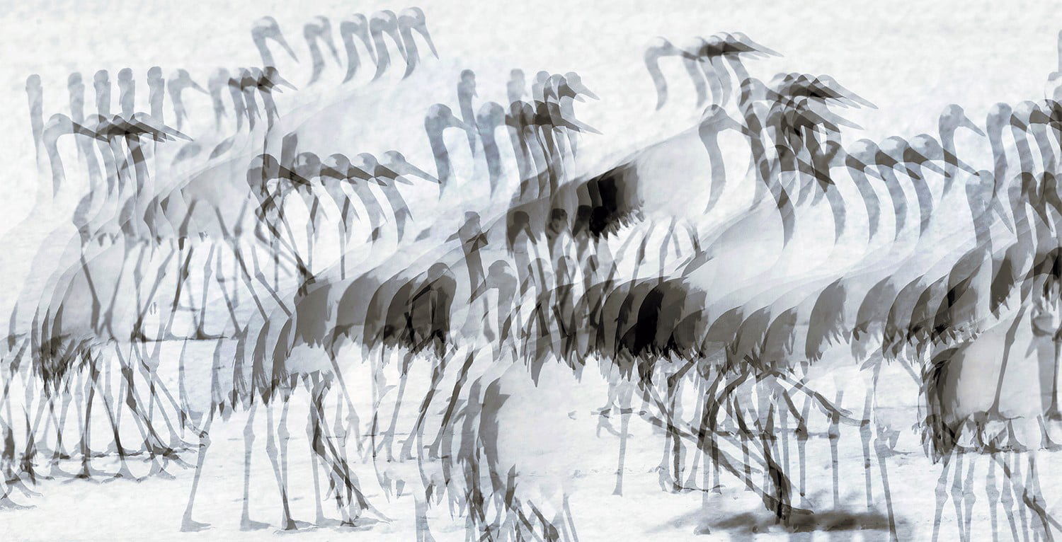 Message from Fukushima_2022_07