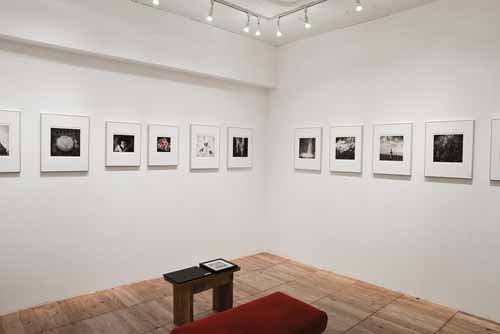photo exhibition in Tokyo (JAN 2019)